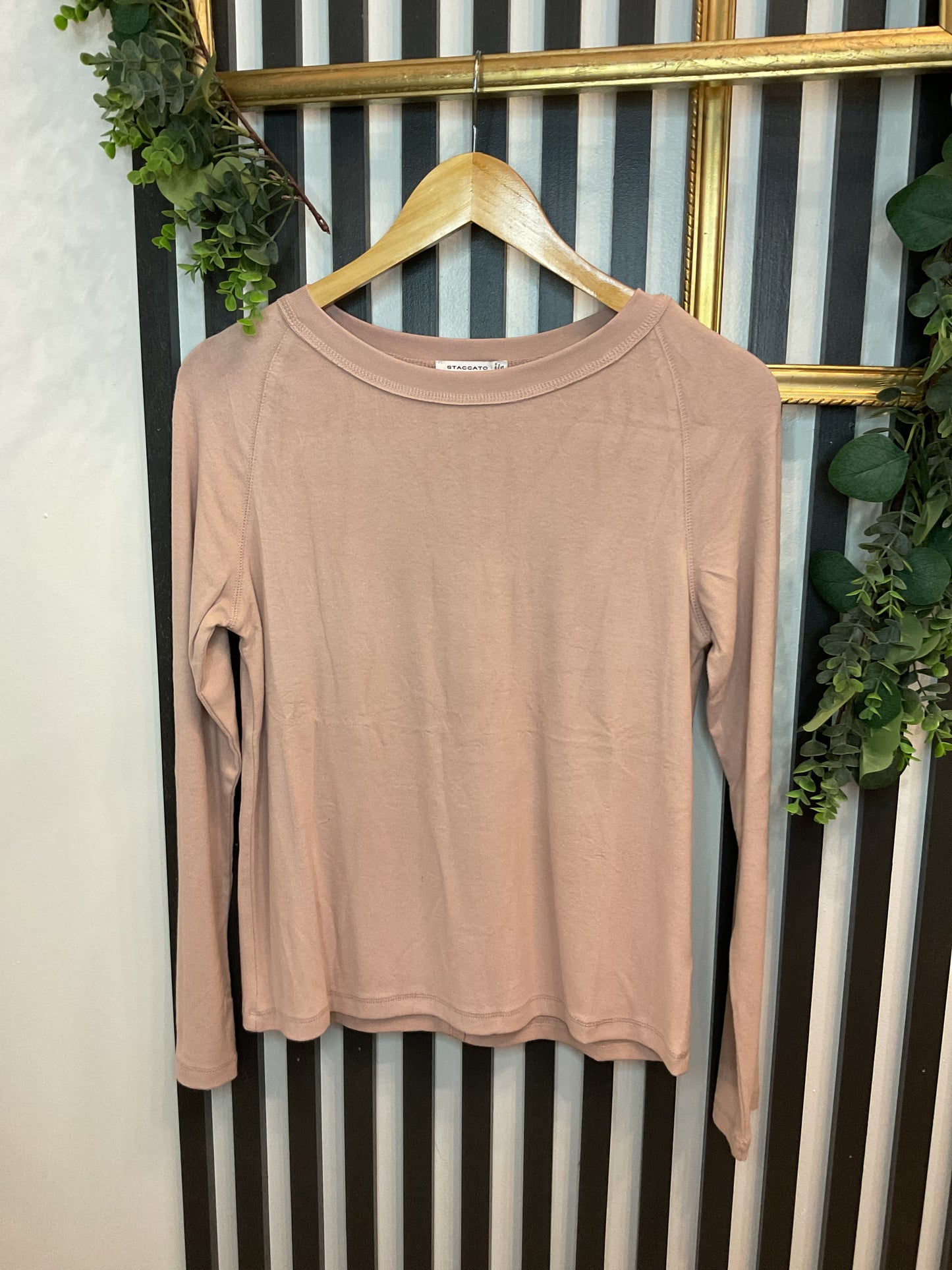 Blush Raglan Sleeve Top